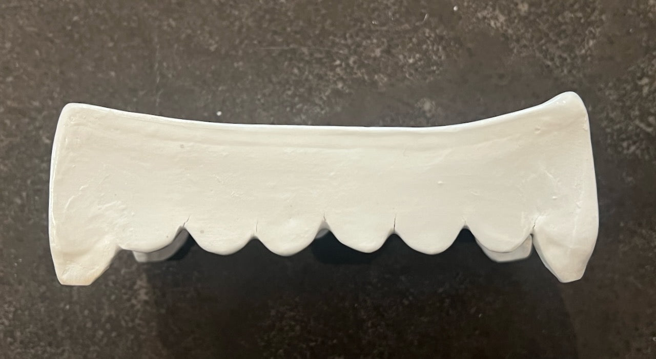 Cherry Blossom Branch Soap Dish